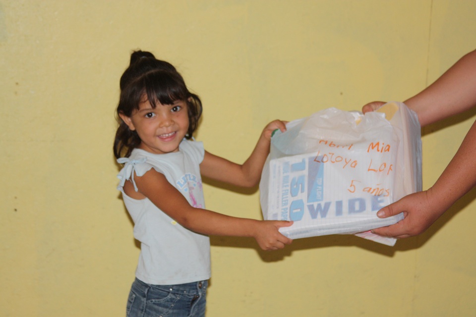 wolf in-winter-jonatan-pie