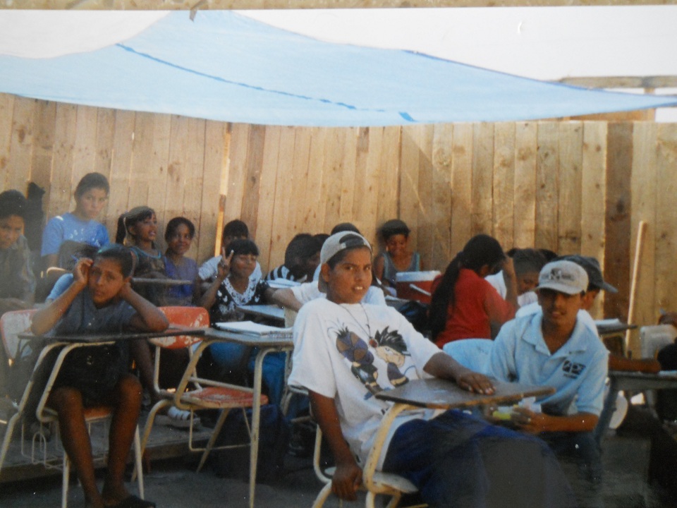 wolf in-winter-jonatan-pie